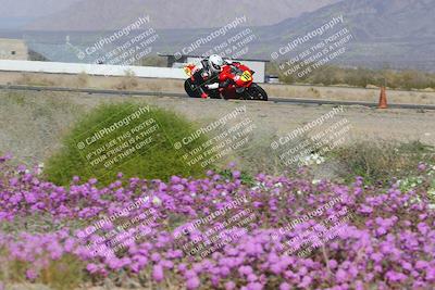 media/Feb-04-2023-SoCal Trackdays (Sat) [[8a776bf2c3]]/Turn 15 Inside Blooming (1050am)/